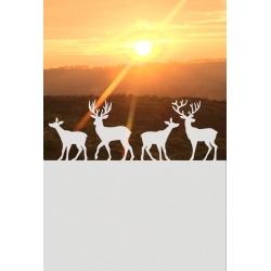 ROZ36 50x47 naklejka na okno wzory zwierzęce - sarny, jelenie, łosie
